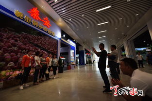 天天天水網(wǎng)全景展示中西部旅游商品展